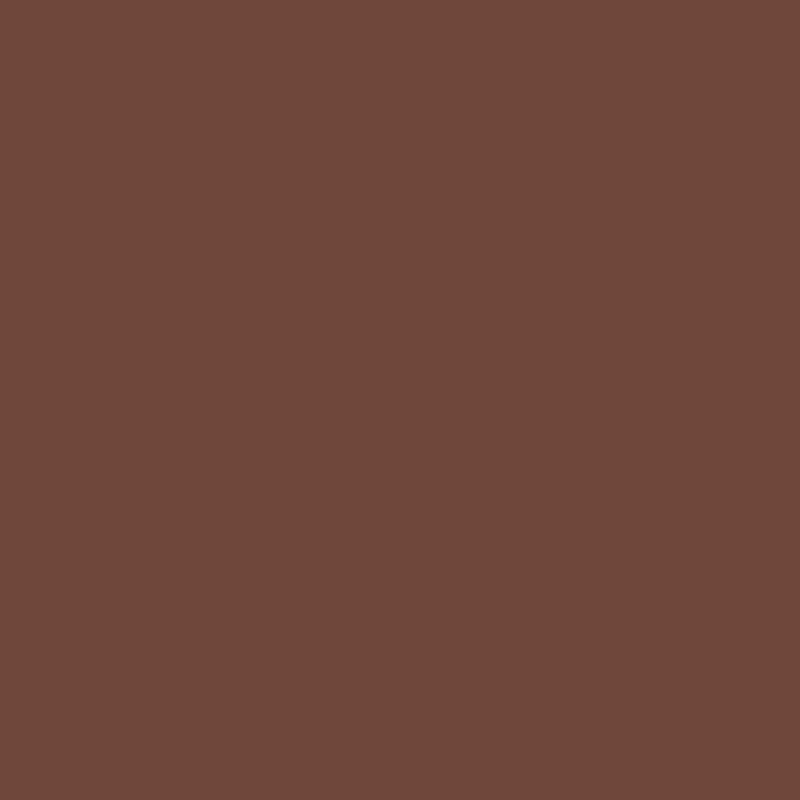 2102 10 Earth Brown Paint Color Paintscapes