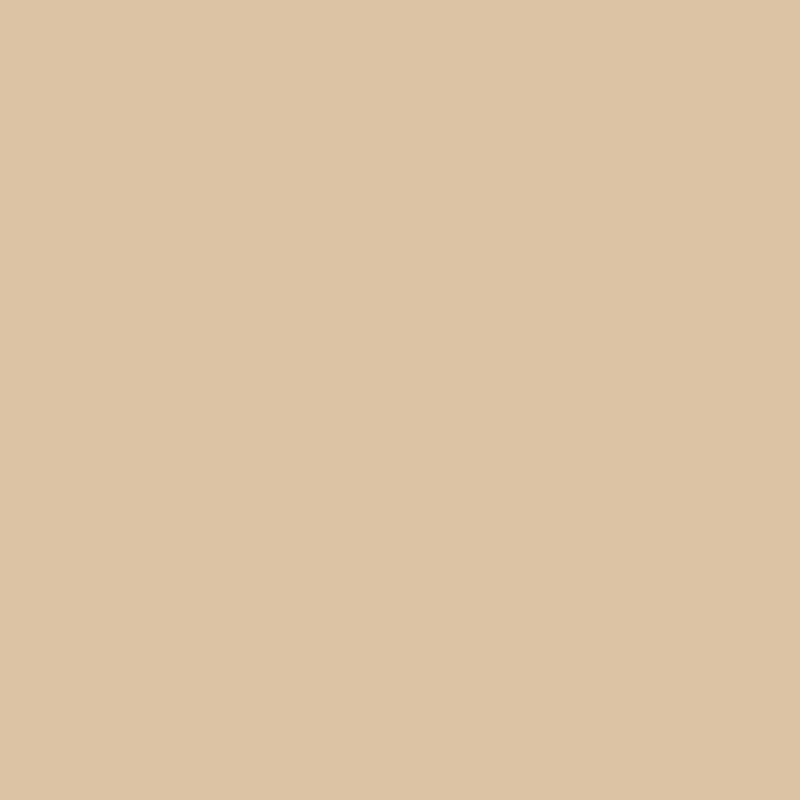 2162-50 Arizona Tan - Paint Color | Paintscapes